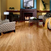 Armstrong Ascot 2 1/4" Strip Hardwood Flooring at Wholesale Prices